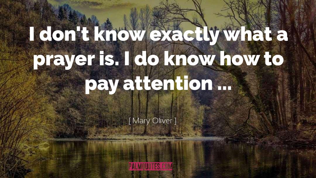 Days Prayer quotes by Mary Oliver