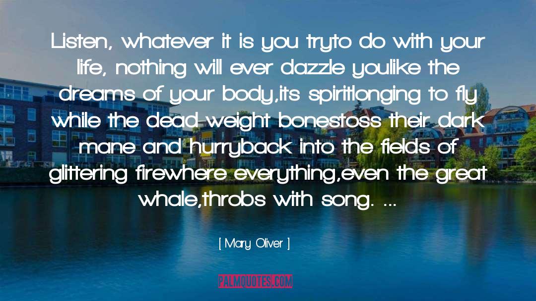 Dazzle quotes by Mary Oliver