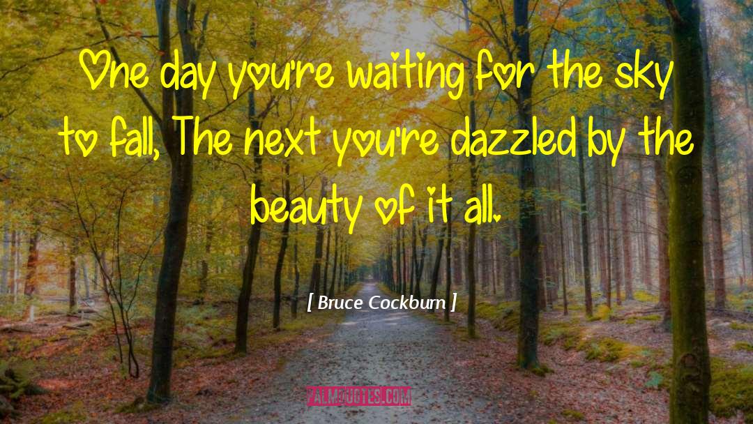 Dazzled quotes by Bruce Cockburn