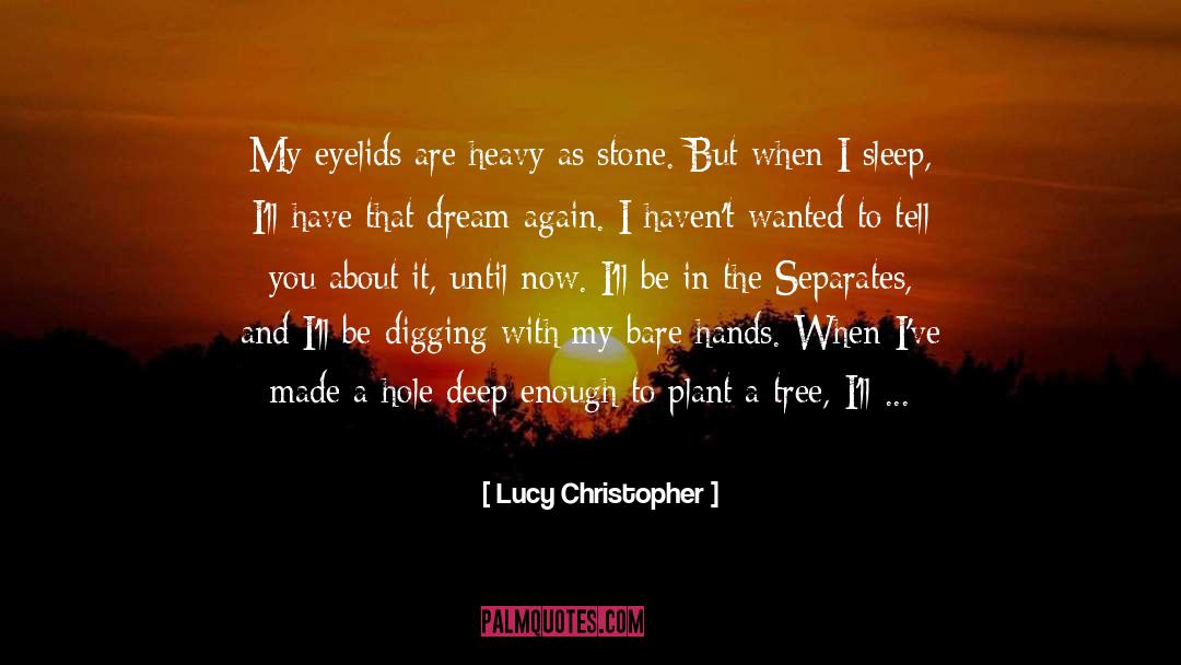 Dazzling quotes by Lucy Christopher