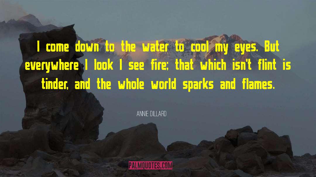 Dc Universe quotes by Annie Dillard