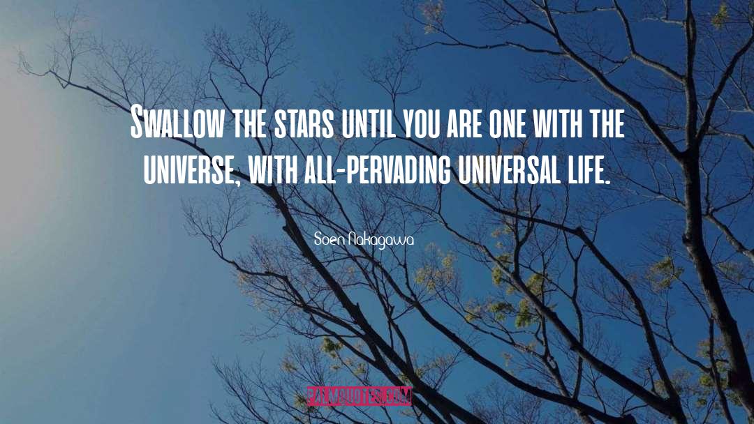 Dc Universe quotes by Soen Nakagawa