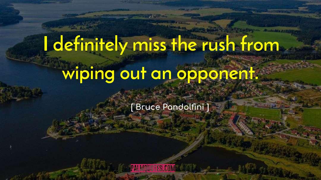 Dde Opponent quotes by Bruce Pandolfini