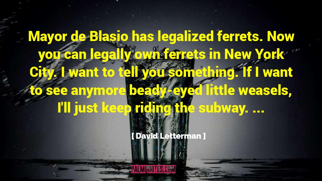 De Blasio Wife quotes by David Letterman
