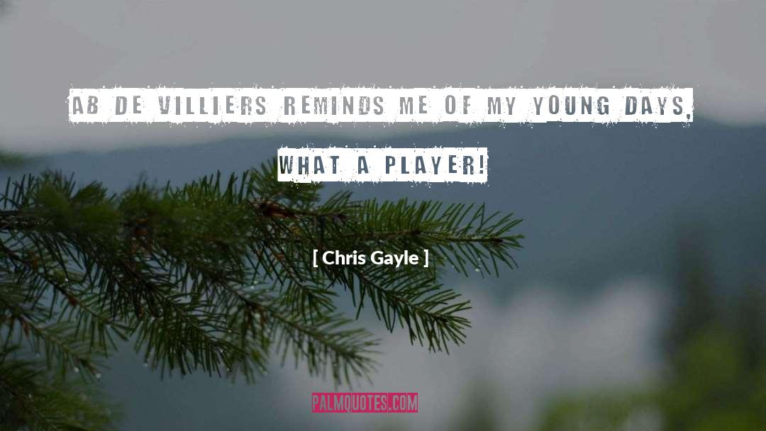 De Villiers Botha quotes by Chris Gayle