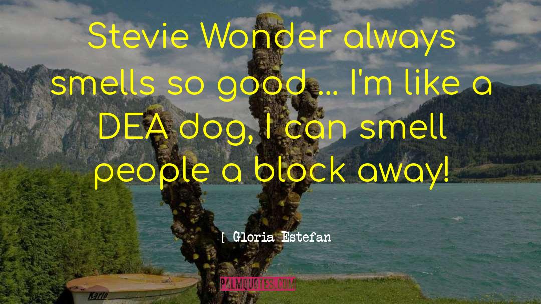 Dea quotes by Gloria Estefan