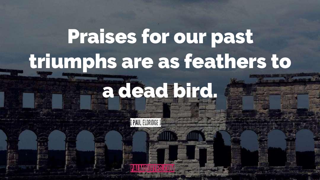 Dead Bird quotes by Paul Eldridge