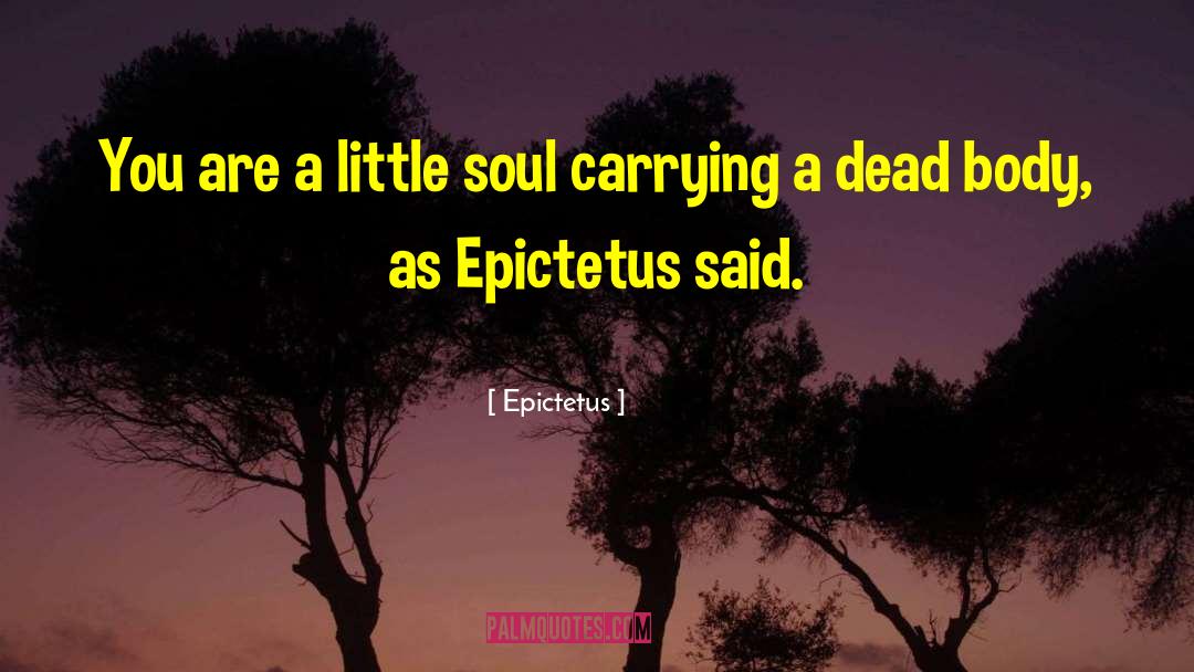 Dead Body quotes by Epictetus