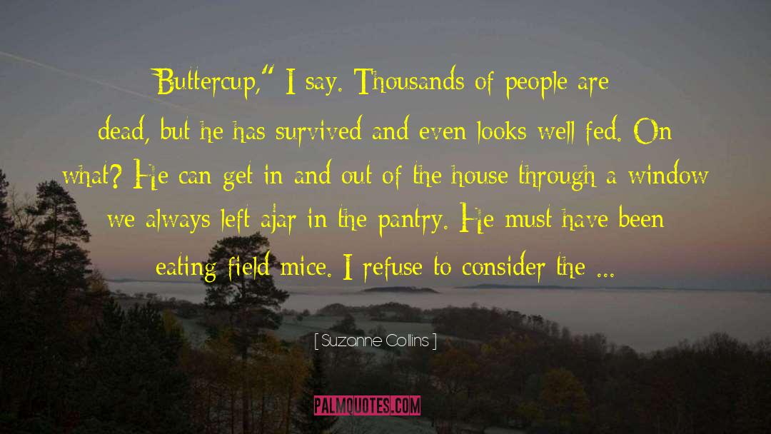 Dead Mice Quiet quotes by Suzanne Collins