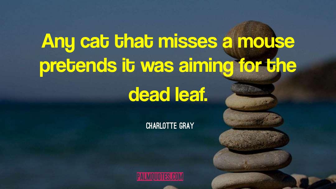 Dead Mice Quiet quotes by Charlotte Gray