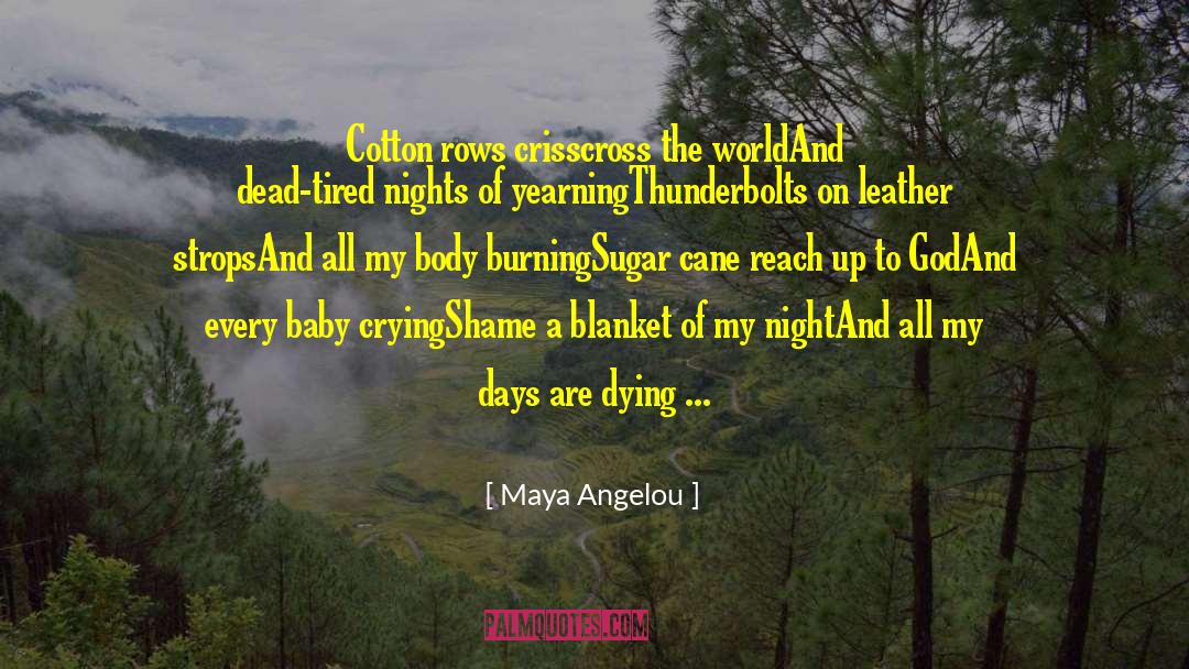 Dead On The Delta quotes by Maya Angelou
