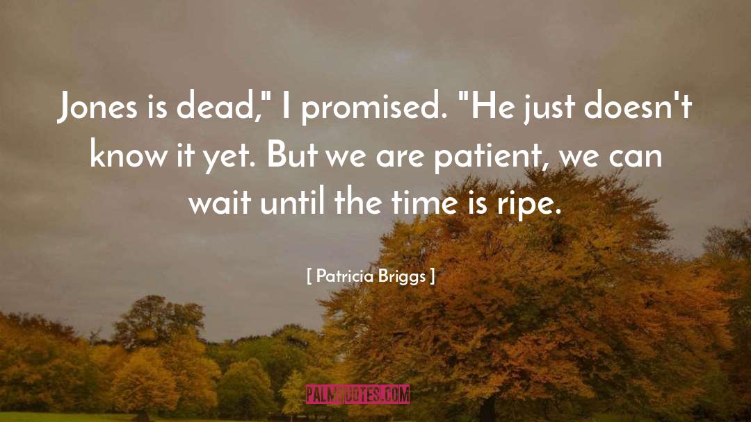Dead Patient S Bed quotes by Patricia Briggs