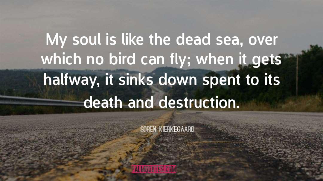 Dead Sea quotes by Soren Kierkegaard