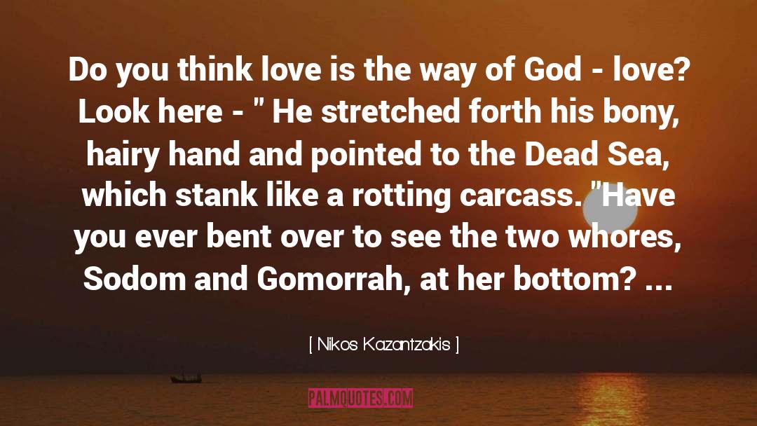 Dead Sea quotes by Nikos Kazantzakis