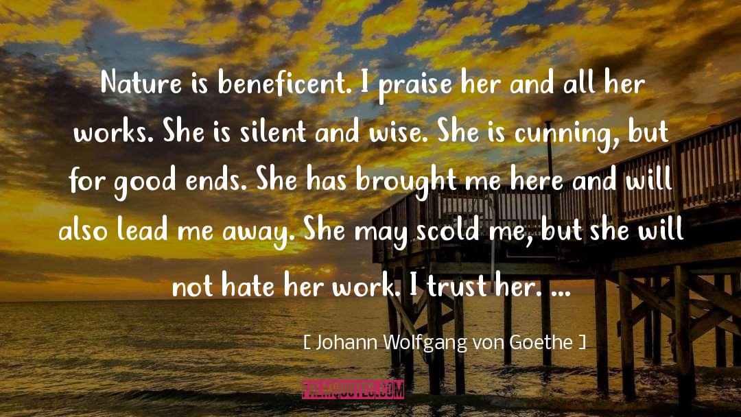 Dead Silent quotes by Johann Wolfgang Von Goethe