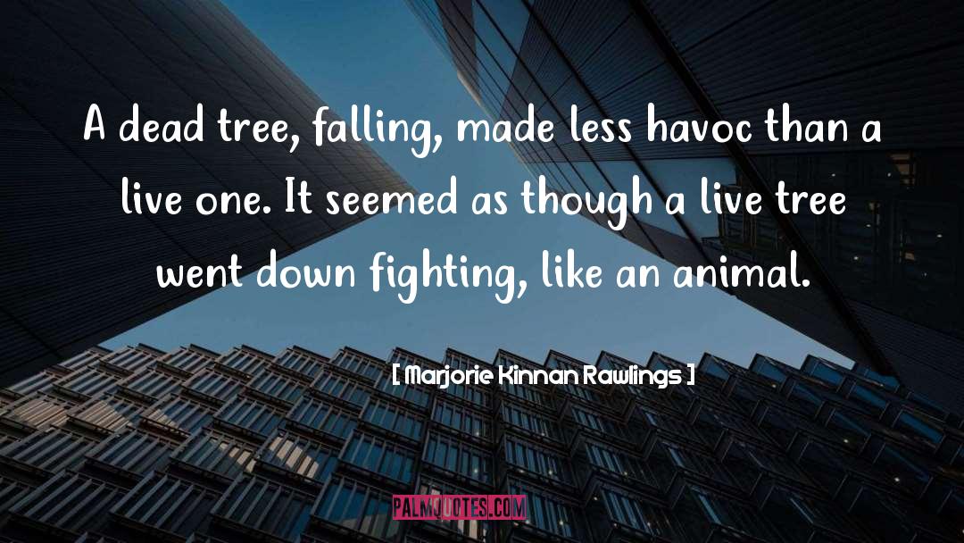 Dead Trees quotes by Marjorie Kinnan Rawlings