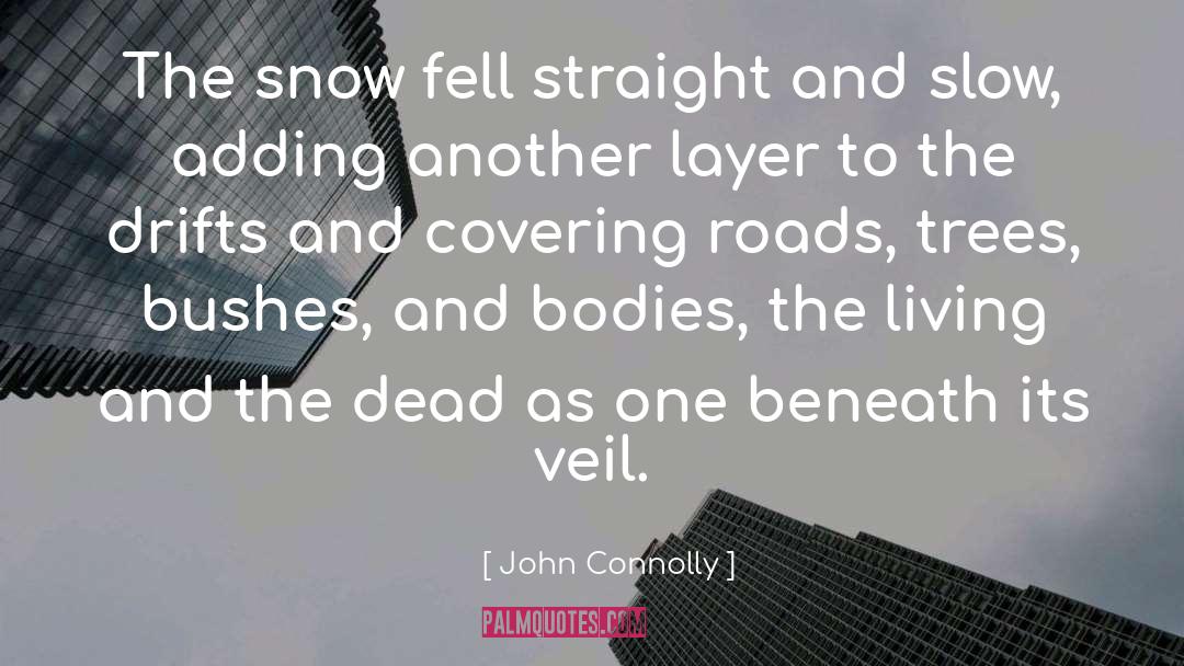 Dead Zone quotes by John Connolly