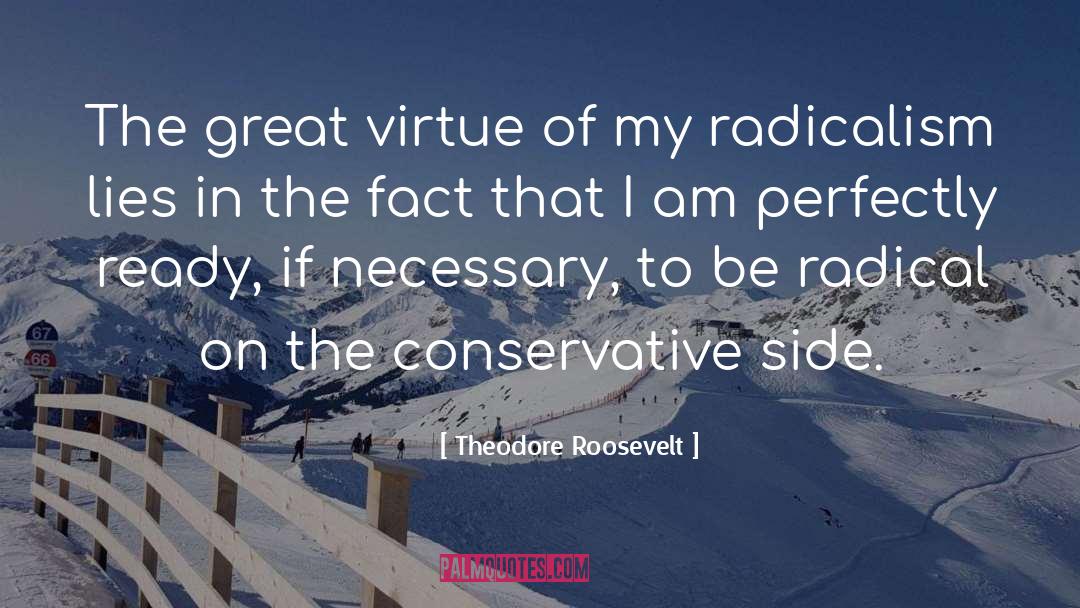 Deadpanned Perfectly quotes by Theodore Roosevelt