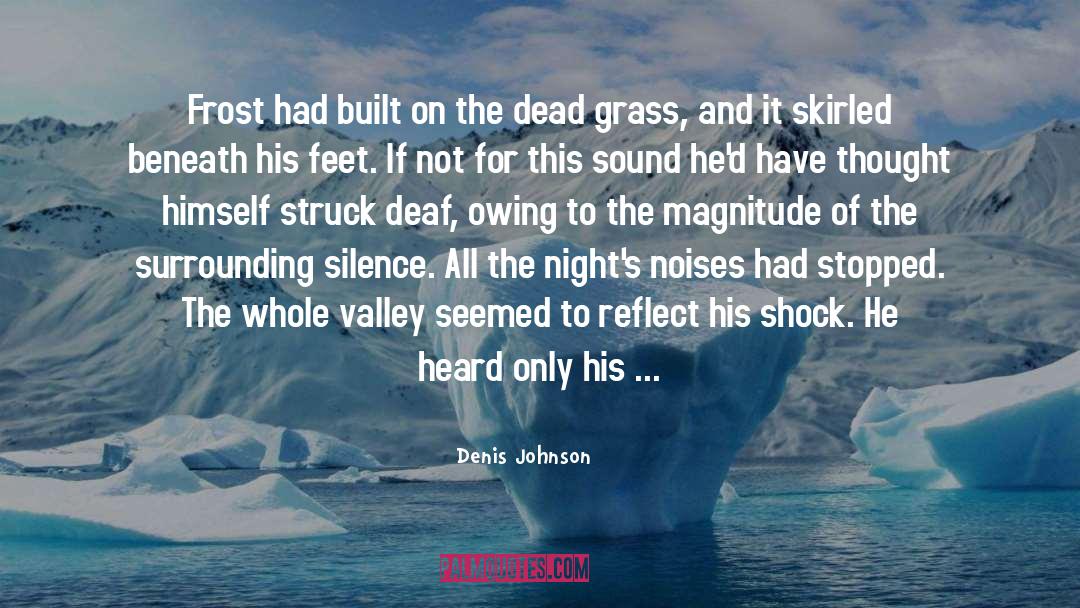 Deaf Deafblind quotes by Denis Johnson