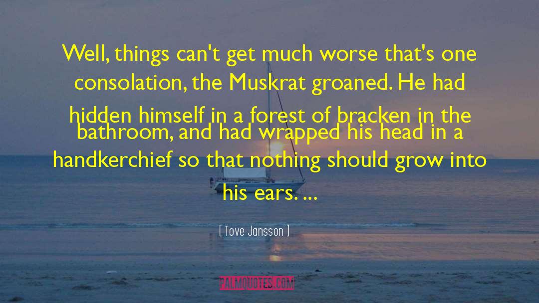 Deaf Ears quotes by Tove Jansson