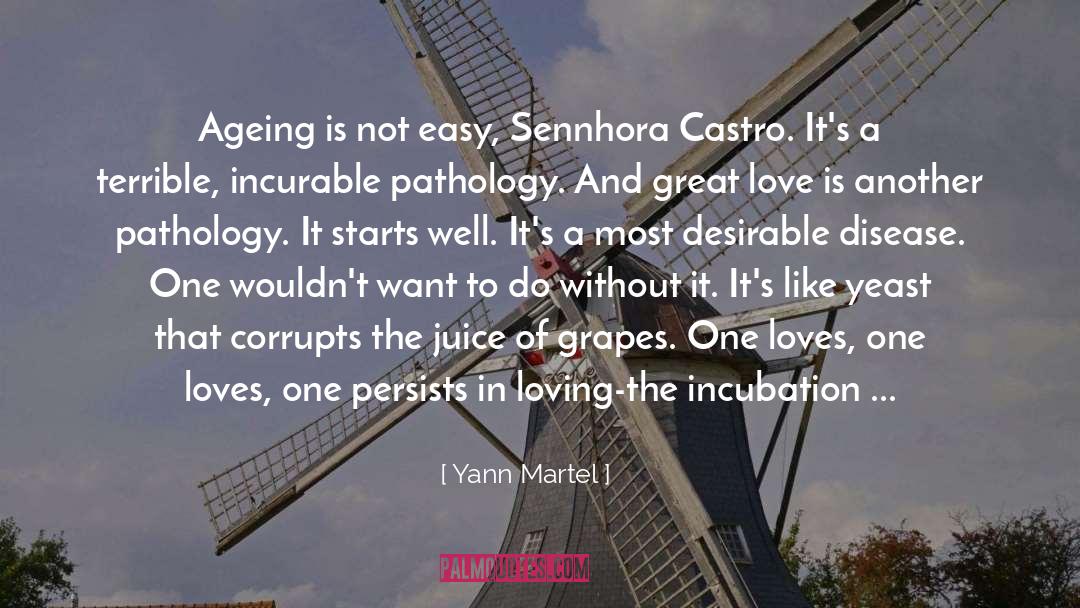 Dealing With Heartbreak quotes by Yann Martel