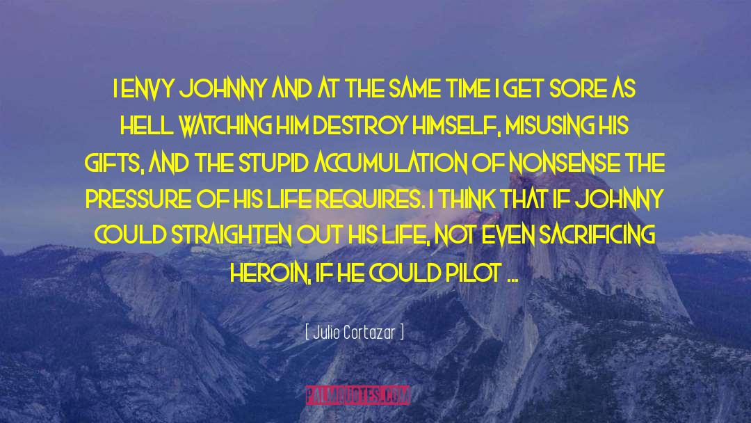 Dealing With Idiots quotes by Julio Cortazar
