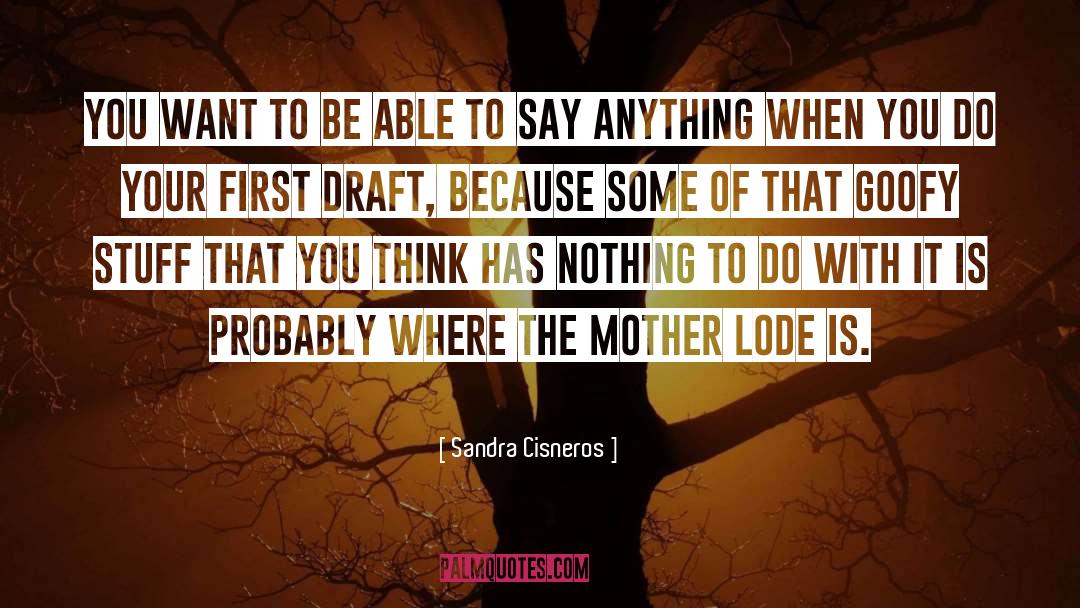 Dealing With It quotes by Sandra Cisneros