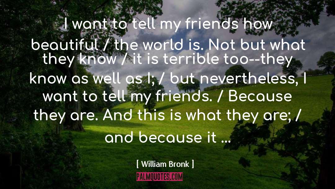 Dear Friend quotes by William Bronk