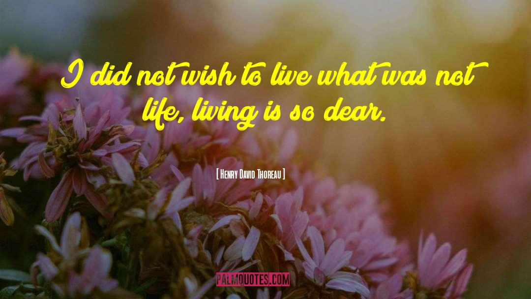 Dear Life quotes by Henry David Thoreau