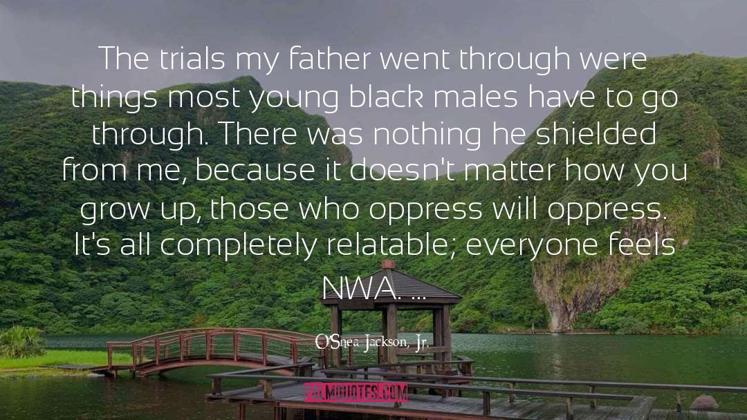 Dear Young Black Males quotes by O'Shea Jackson, Jr.