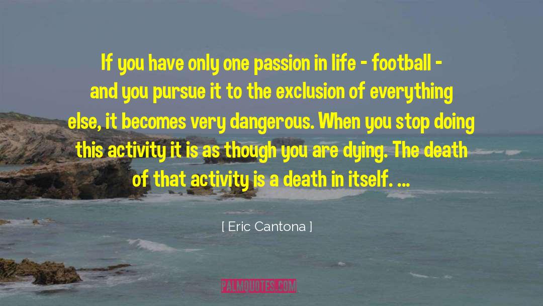 Death And Dying Love quotes by Eric Cantona