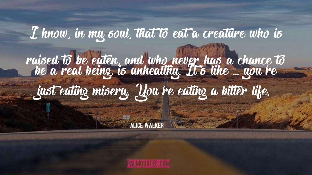 Death And Life quotes by Alice Walker