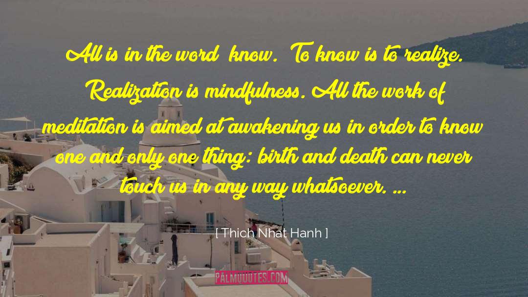 Death Bringer quotes by Thich Nhat Hanh