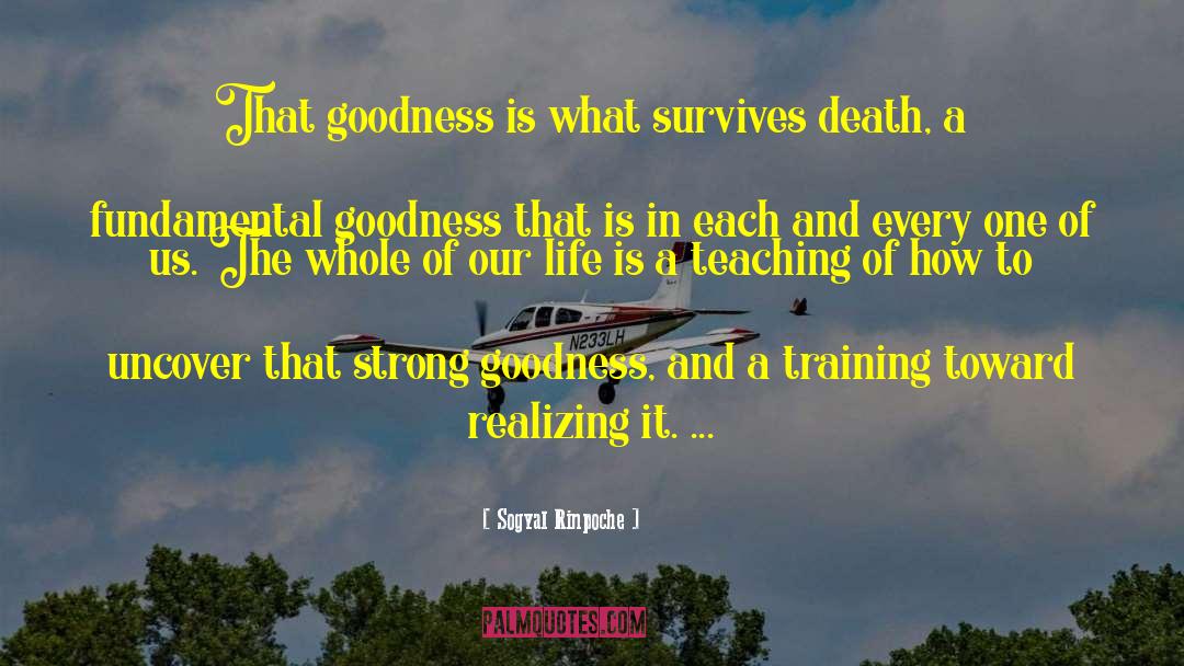 Death Fraud quotes by Sogyal Rinpoche