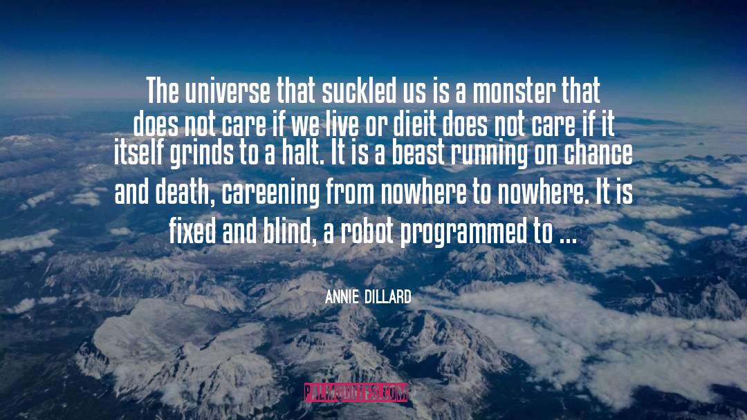 Death House quotes by Annie Dillard