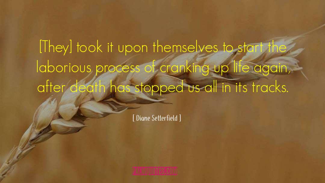 Death In The Iliad quotes by Diane Setterfield