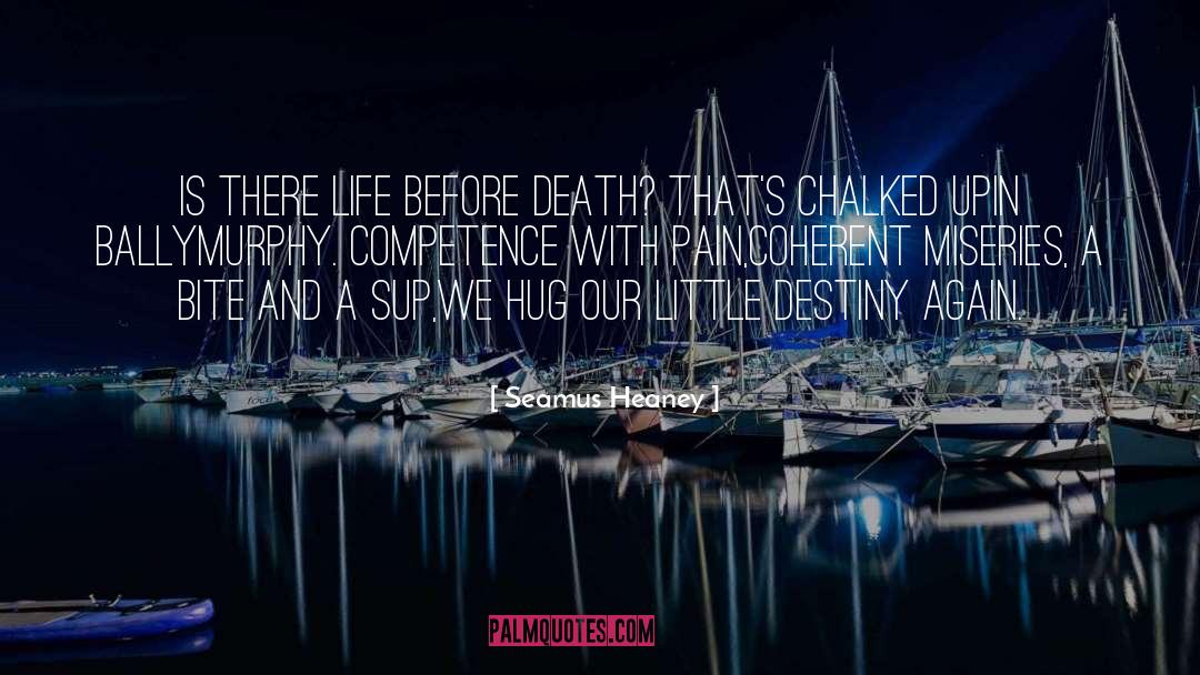 Death Life quotes by Seamus Heaney