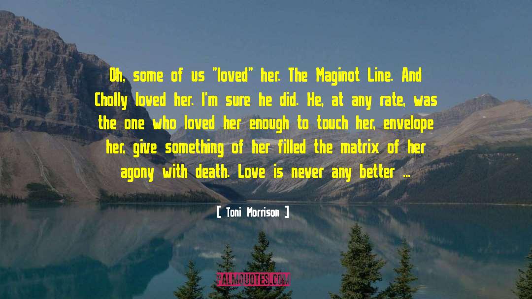 Death Love quotes by Toni Morrison