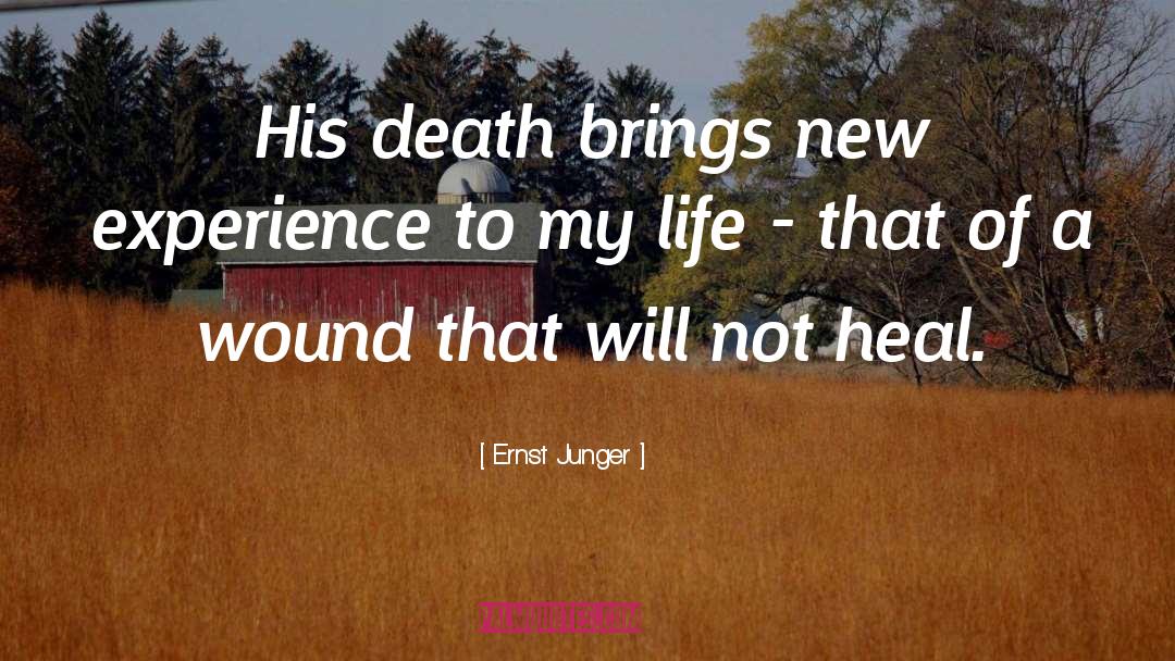 Death Of A Child quotes by Ernst Junger