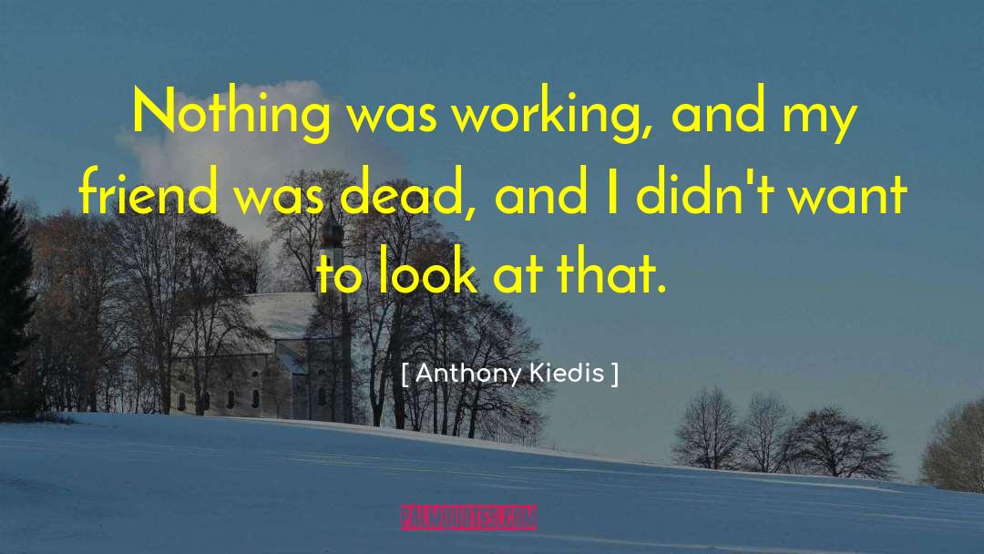 Death Of A Friend quotes by Anthony Kiedis