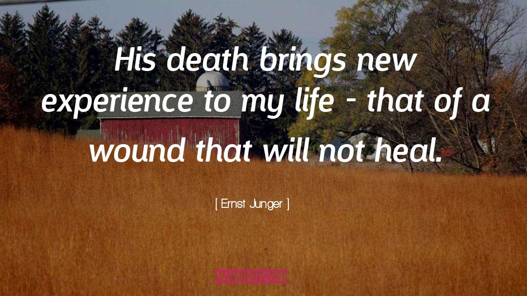 Death Of A Loved One quotes by Ernst Junger