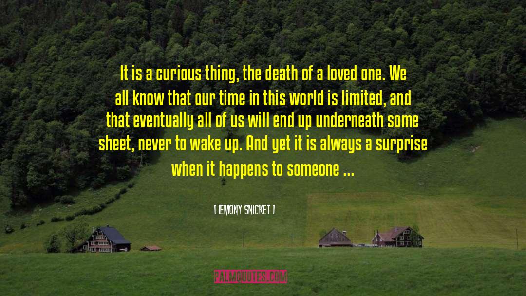 Death Of A Loved One quotes by Lemony Snicket