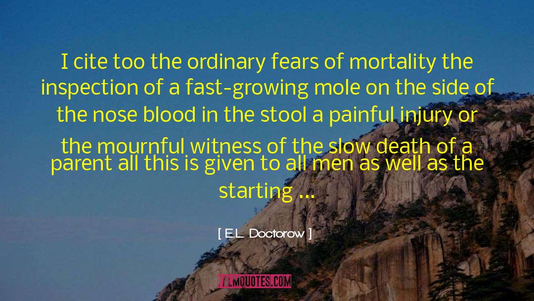 Death Of A Parent quotes by E.L. Doctorow