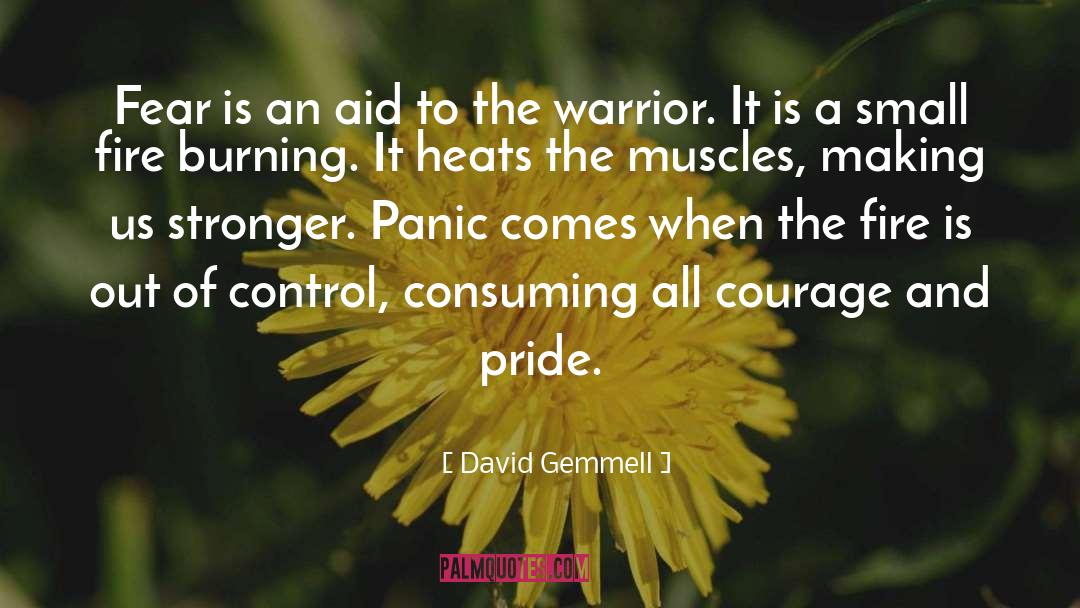 Death Of A Warrior quotes by David Gemmell