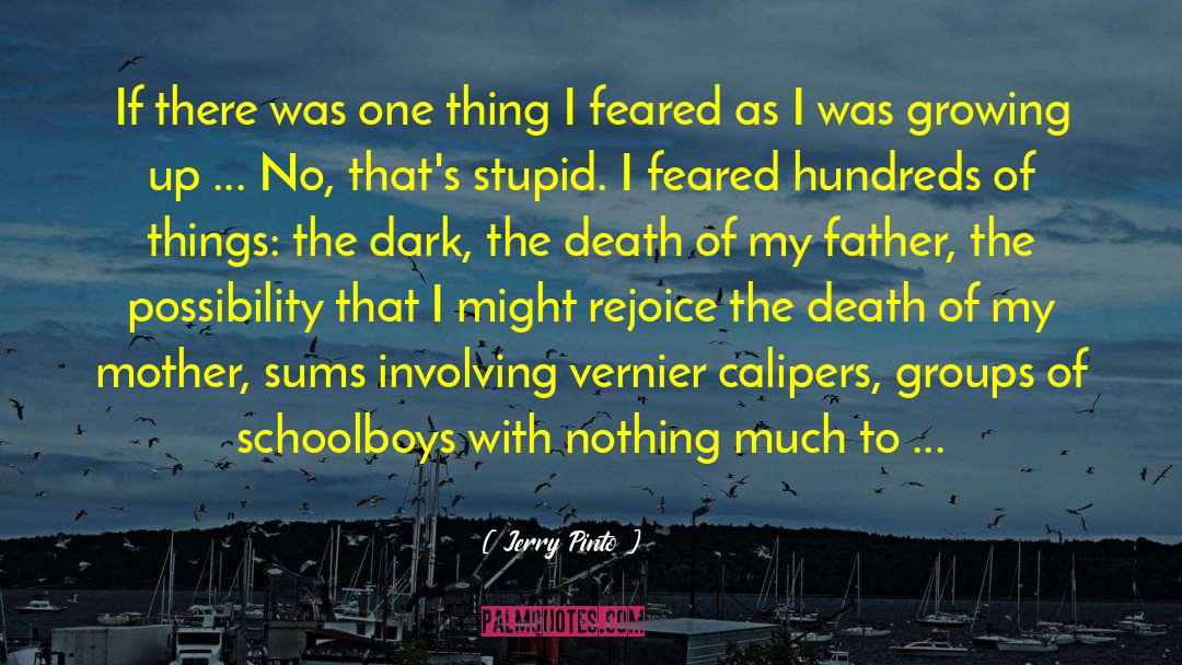 Death Of My Mother quotes by Jerry Pinto