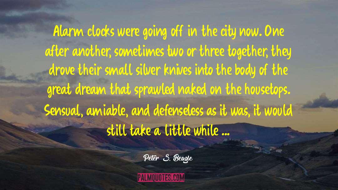 Death Of Sleep quotes by Peter S. Beagle