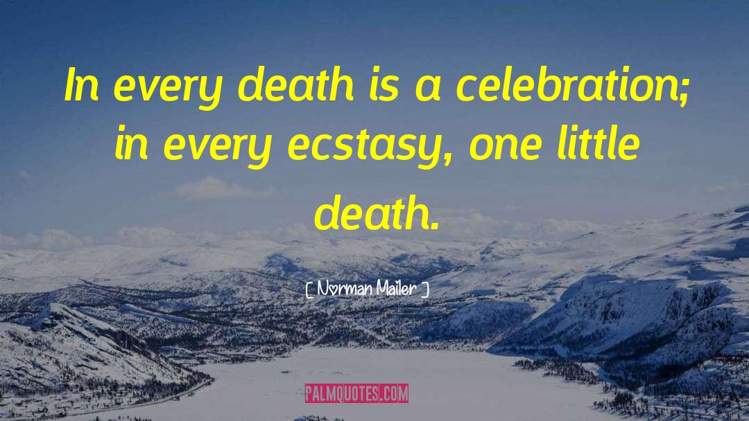 Death Reaper quotes by Norman Mailer