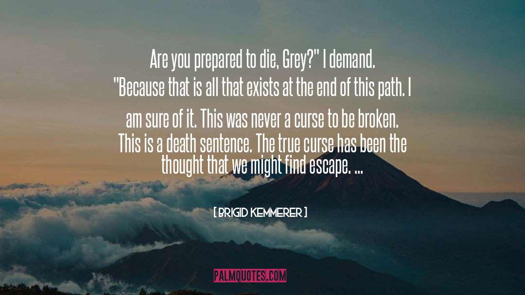 Death Sentence quotes by Brigid Kemmerer