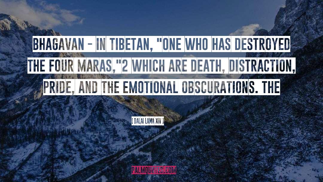 Death Ship quotes by Dalai Lama XIV