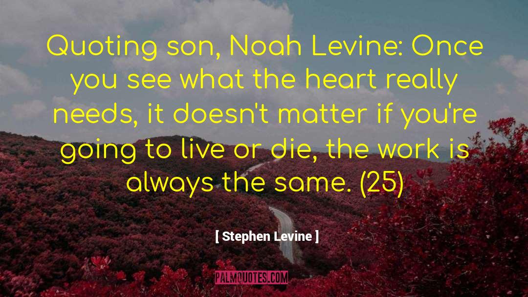 Death Threats quotes by Stephen Levine